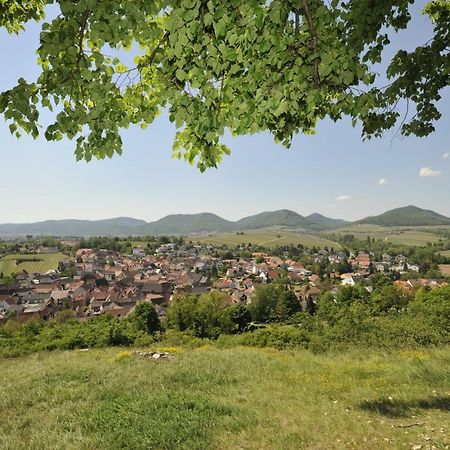 Hôtel Wein-Domizil Brennofen à Ilbesheim bei Landau in der Pfalz Extérieur photo